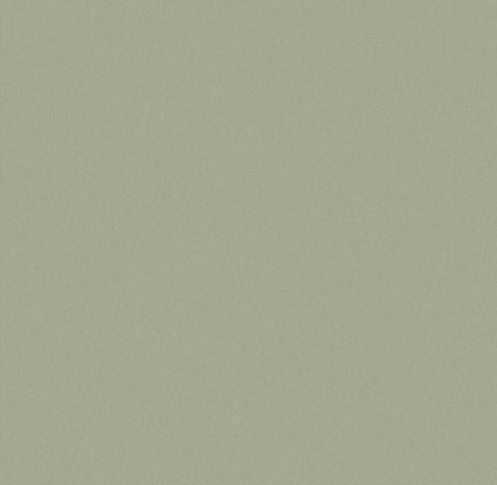 Eucalyptus