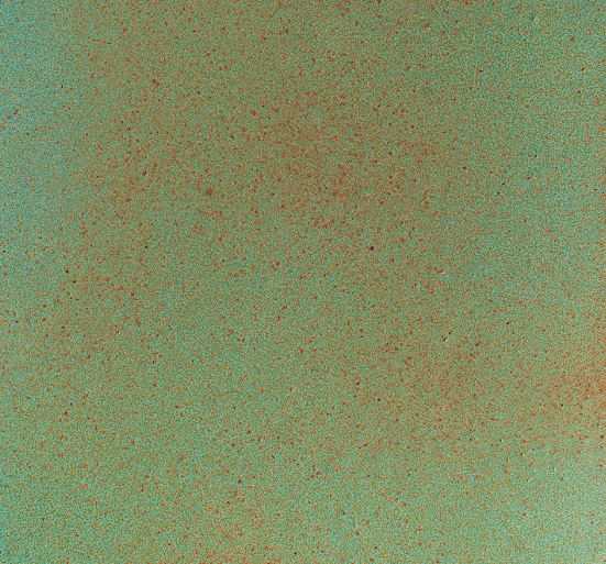 Light Copper 