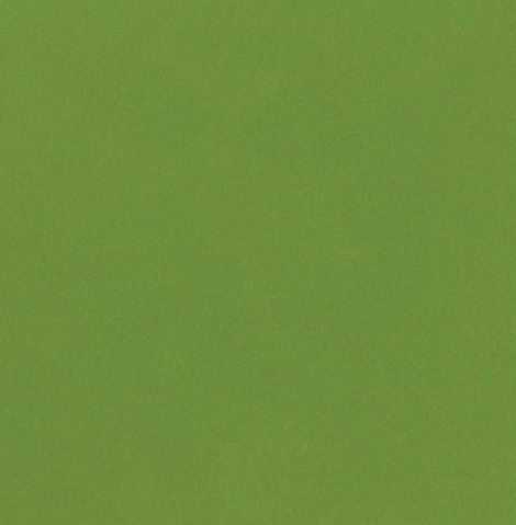 Jalapeno 7741c
