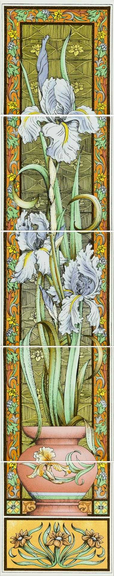 Blue Iris On Brilliant White