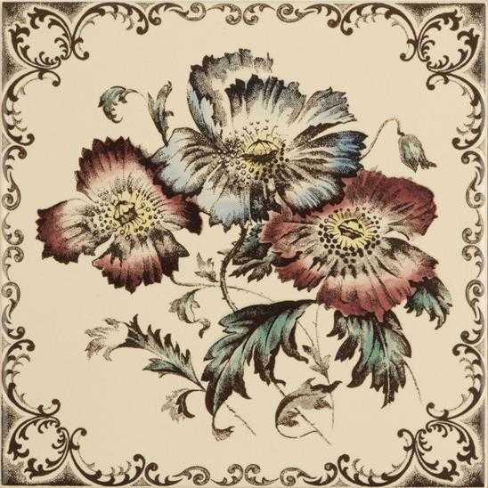 Poppies Scroll Border