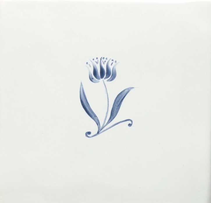 Cardoon