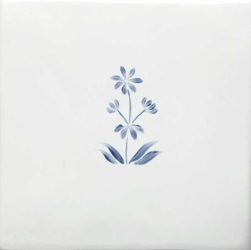 Lunaria