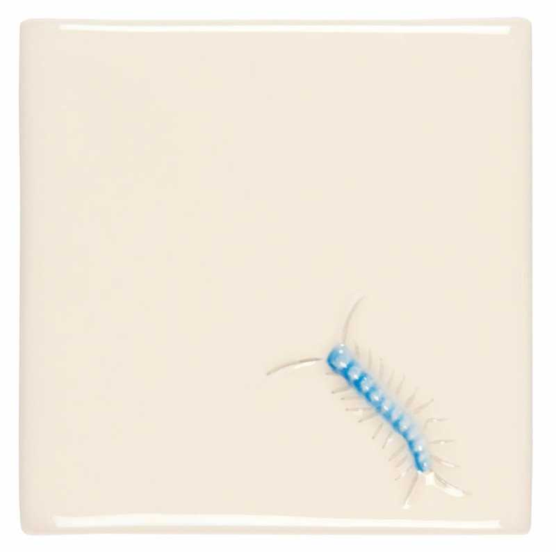 Centipede