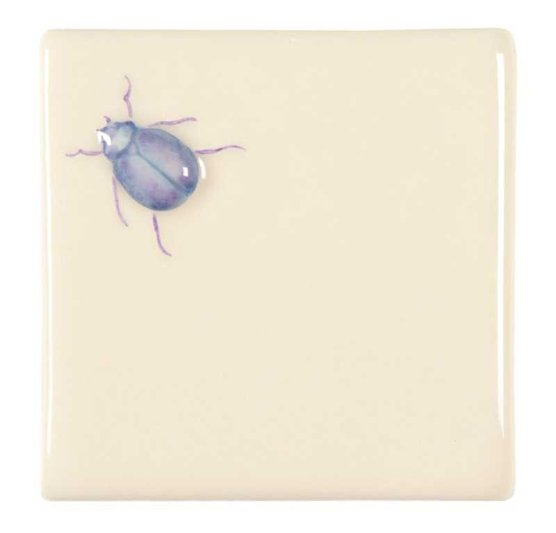 Stag Bug