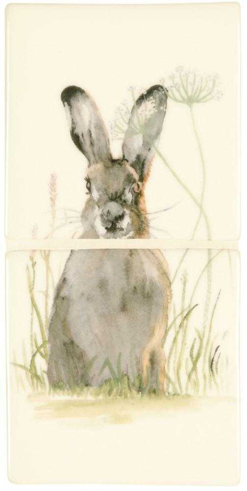 Hare in Hiding (Color)