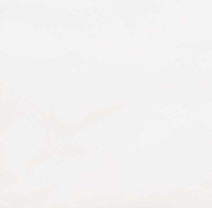 Pure White