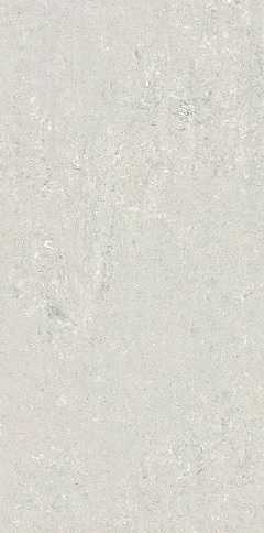 Grigio 12" x 24"